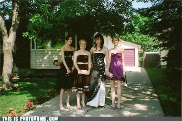 How to Spoil a Photo. Part 7 (48 pics)