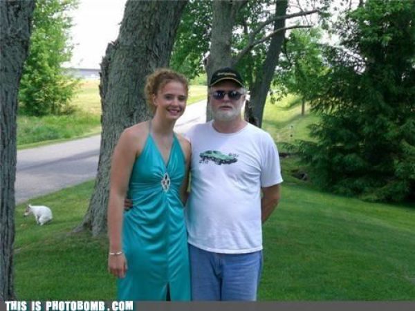 How to Spoil a Photo. Part 7 (48 pics)