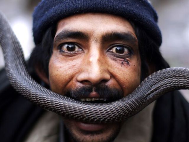 Daily picdump (146 pics)