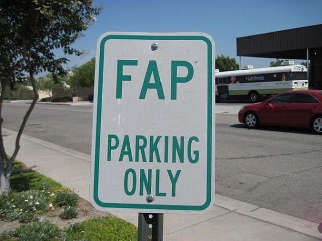 Daily picdump (158 pics)