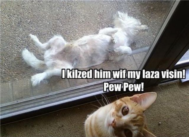 Daily picdump (115 pics)