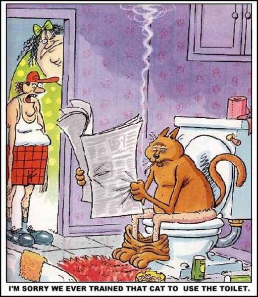 New Funny Collection of Cartoons