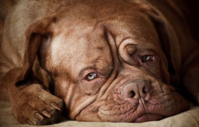 Daily picdump WEEKEND EDITION