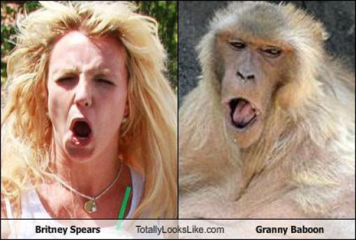 Funny Look Alikes. Part 5