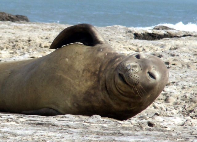 Daily picdump [WEEKEND EDITION]