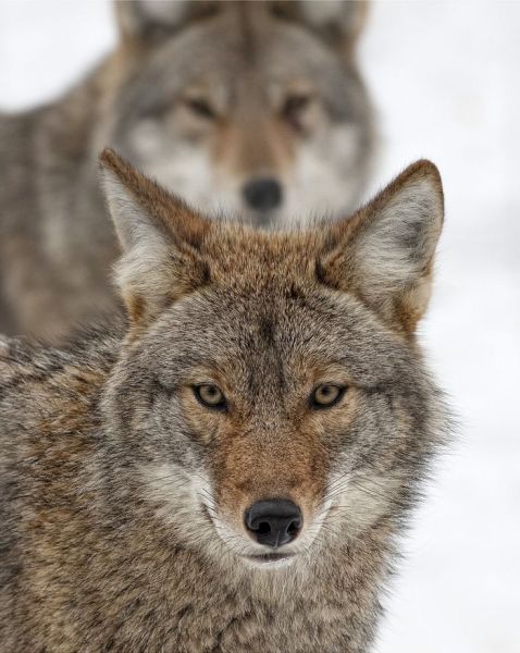 Daily picdump [WEEKEND EDITION]