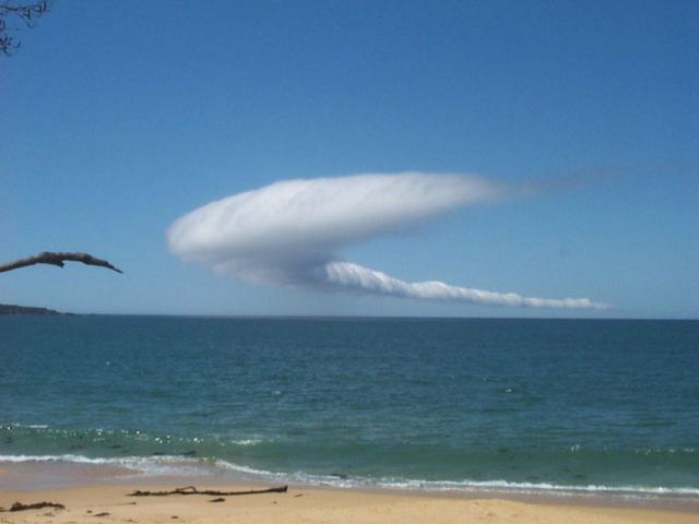 Daily picdump [WEEKEND EDITION]