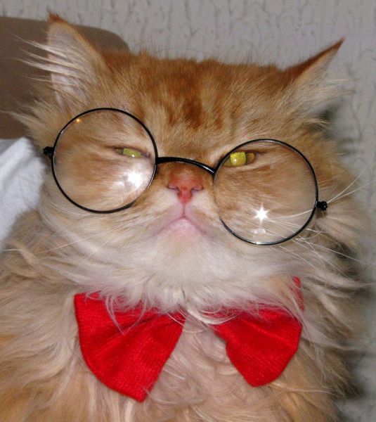 Daily picdump [WEEKEND EDITION]