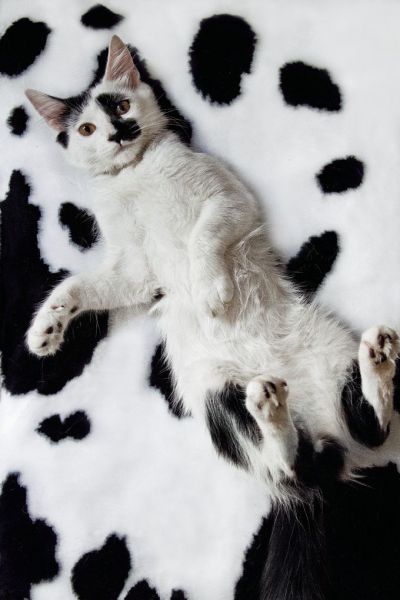 Daily picdump [WEEKEND EDITION]