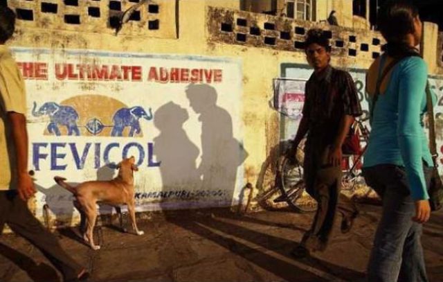 Some Very Creative Shadows