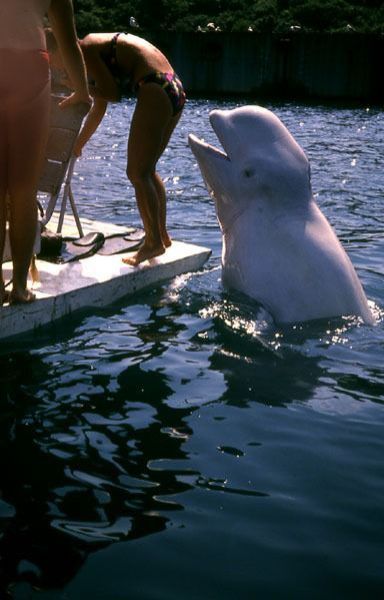 Daily picdump [WEEKEND EDITION]