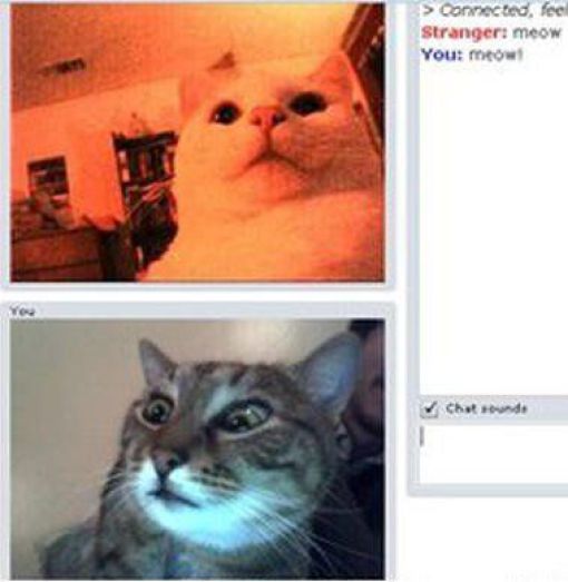 Daily picdump [WEEKEND EDITION]