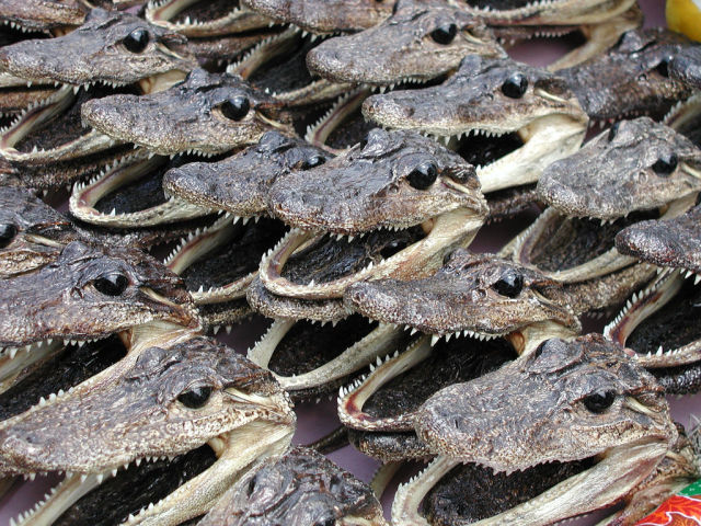 Daily picdump [WEEKEND EDITION]