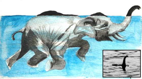 Daily picdump [WEEKEND EDITION]