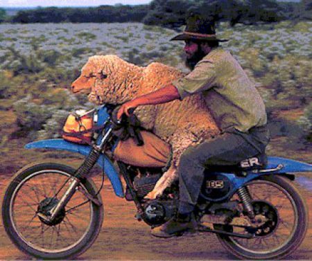 Classic Redneck Moves