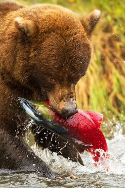 Morning Picdump