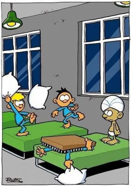 Morning Picdump