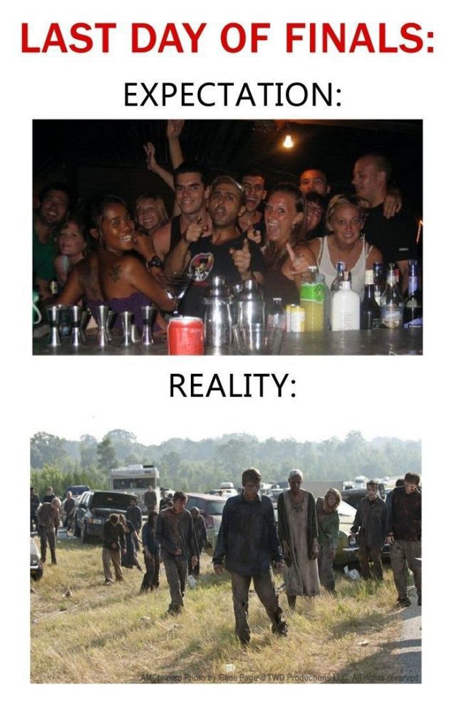 Daily Picdump [WEEKEND EDITION]