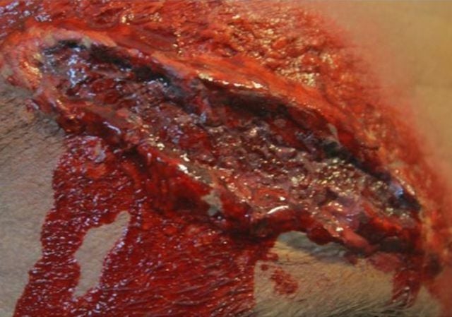 Homemade Wound Make-up