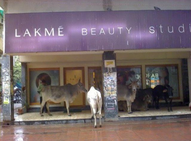 Only in India. Part 3