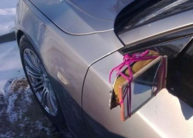 Daily Picdump