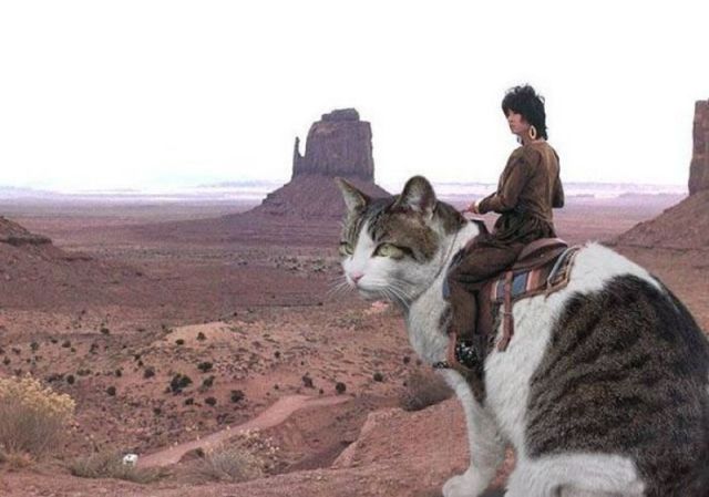Daily Picdump