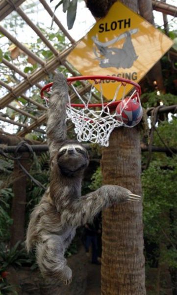 Daily Picdump