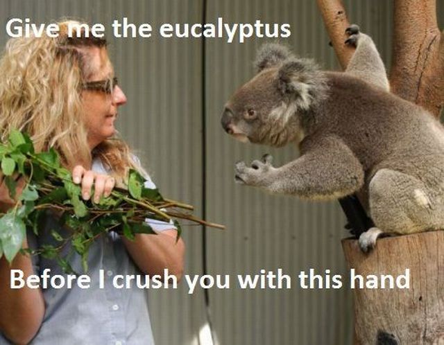 Daily Picdump