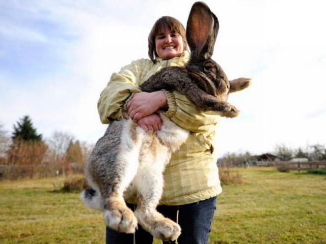Daily Picdump