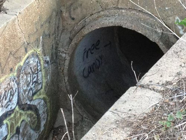 The Internet Never Lies. Part 4