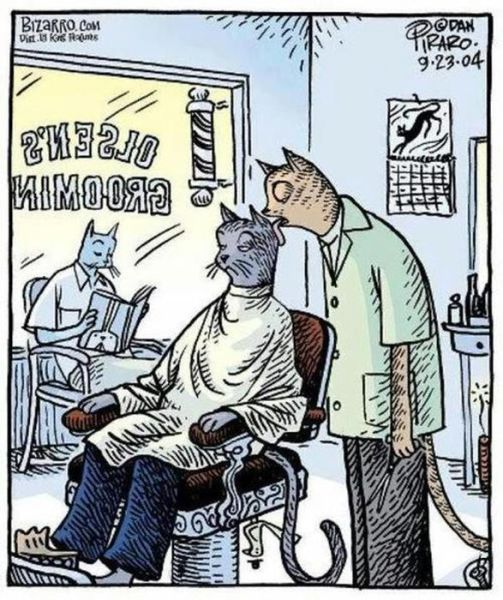 Morning Picdump