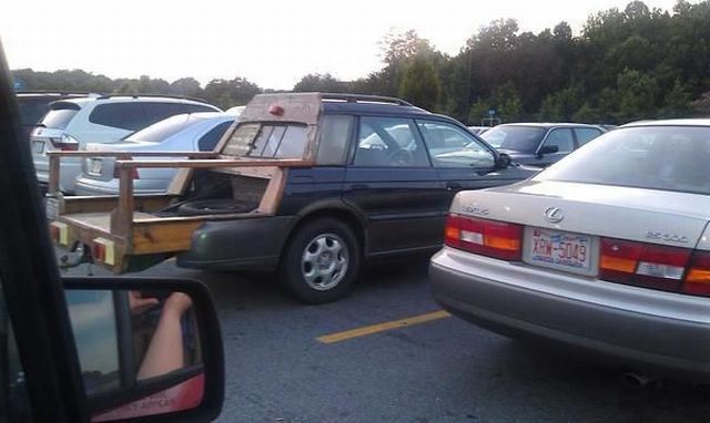 Daily Picdump