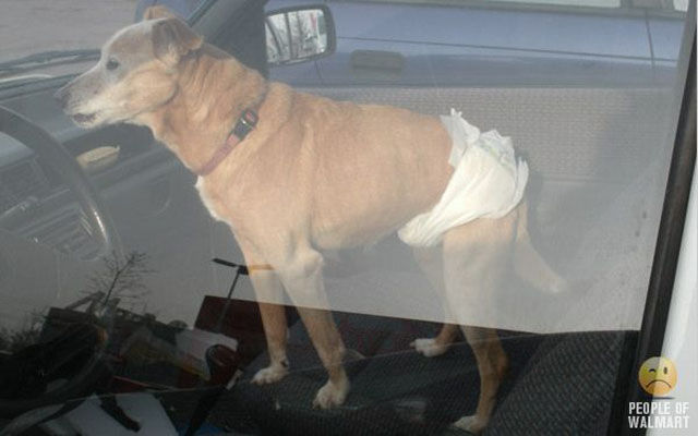 What You Can See in Walmart. Part 18