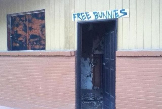 Public Signs: WTF? Part 18