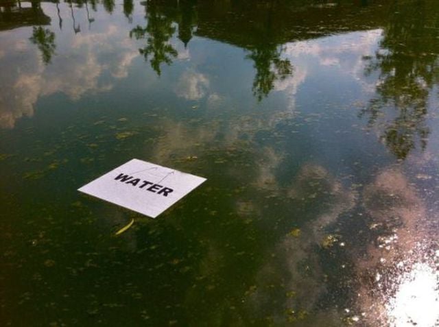 Public Signs: WTF? Part 18