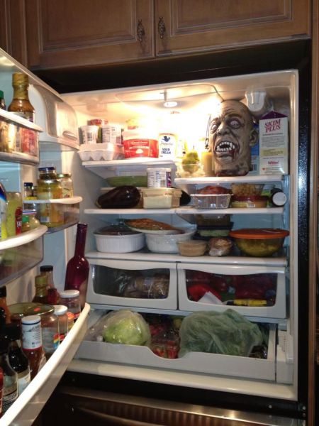 Daily Picdump [WEEKEND EDITION]