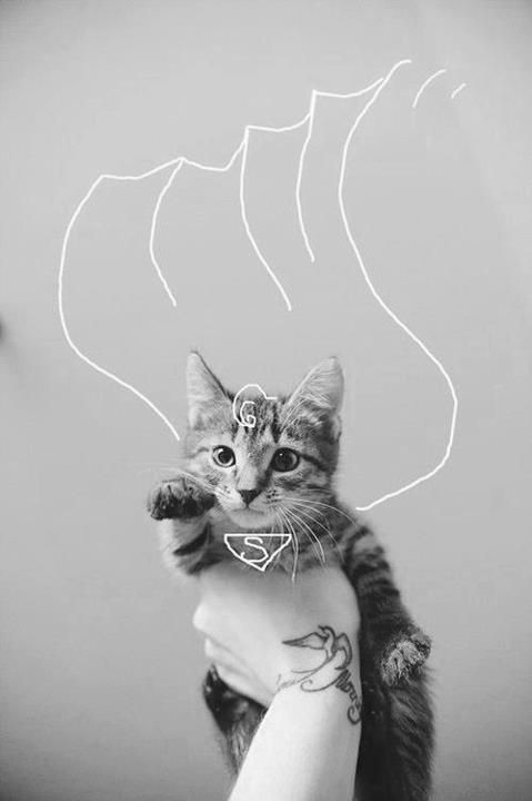 Morning Picdump