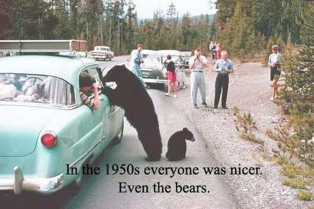 Morning Picdump