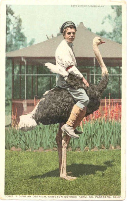Morning Picdump