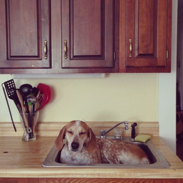 Daily Picdump [WEEKEND EDITION]