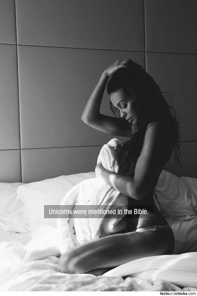 Eye Candy You Can Actually Learn Something From