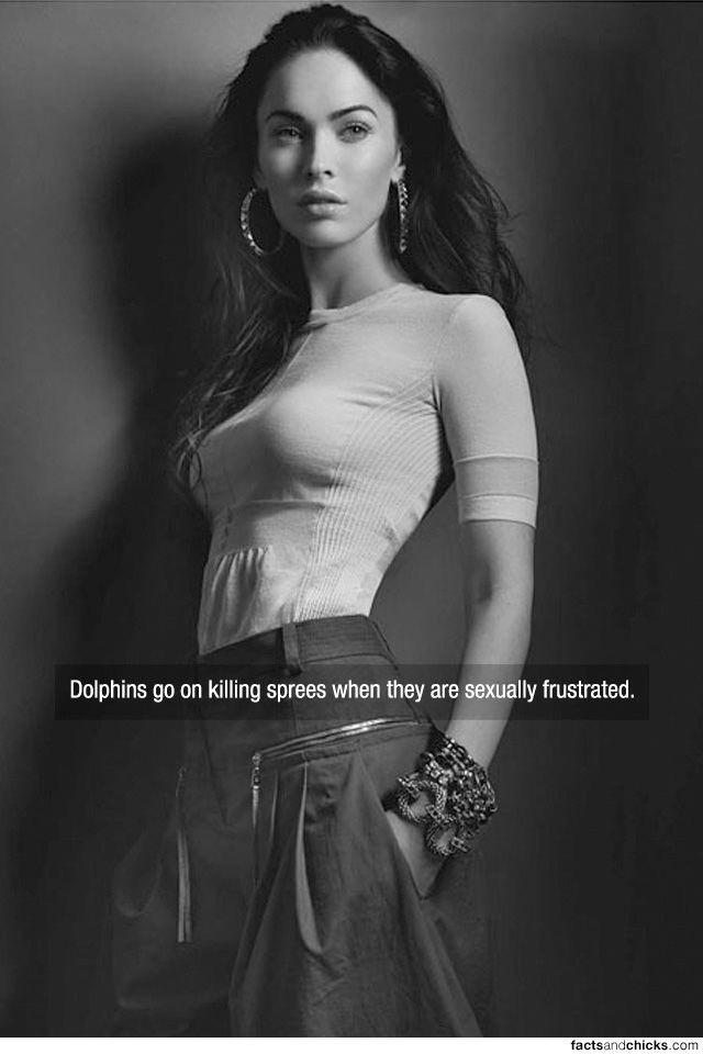 Eye Candy You Can Actually Learn Something From