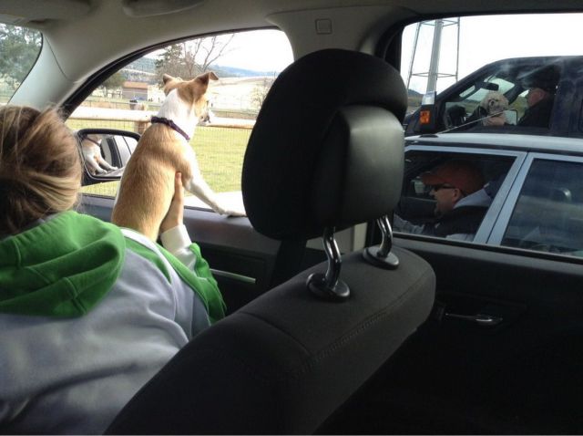 Morning Picdump