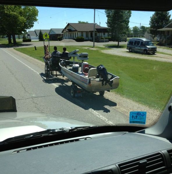 Daily Picdump [WEEKEND EDITION]