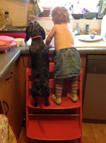 Morning Picdump