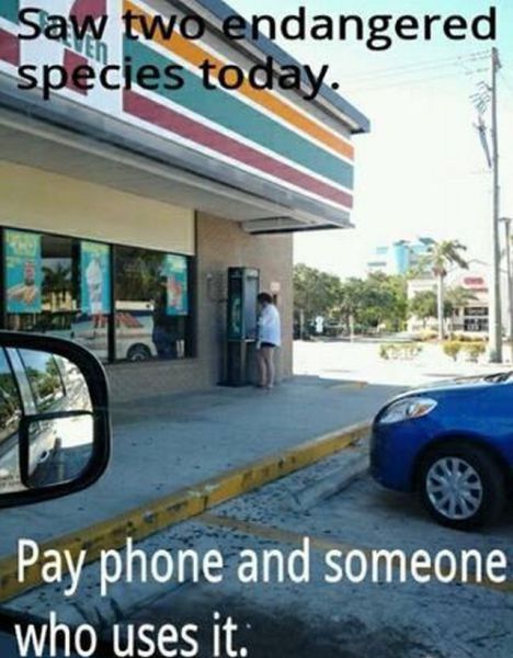 Morning Picdump