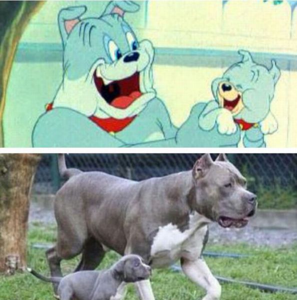Morning Picdump