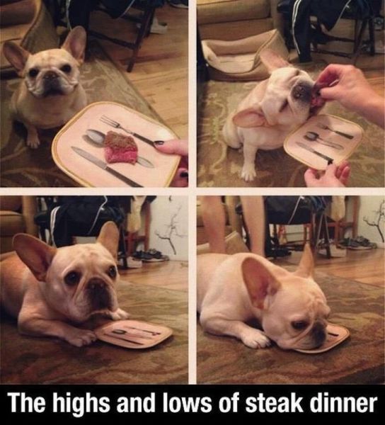 Morning Picdump