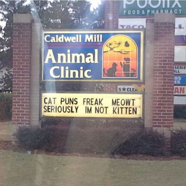 Morning Picdump