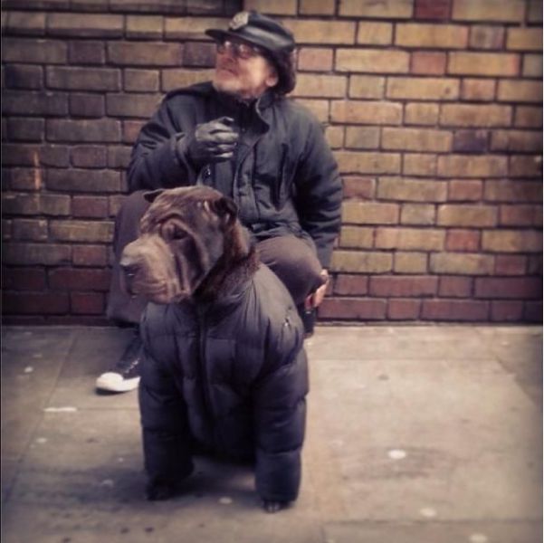 Daily Picdump [WEEKEND EDITION]